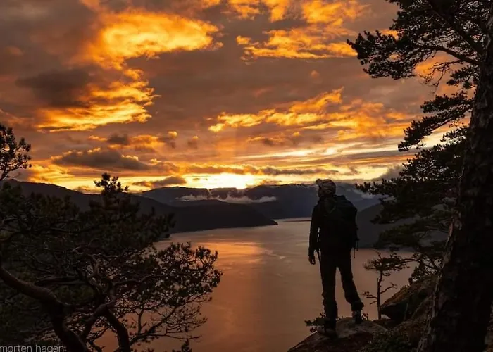 Nedre Amla Fjord Kaupanger